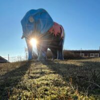 Sommerbrief Wangerooge 2022